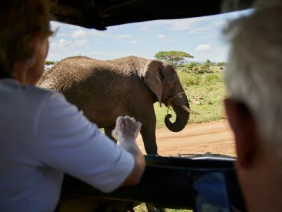 Kaksi ihmistä katselee norsua safariautosta