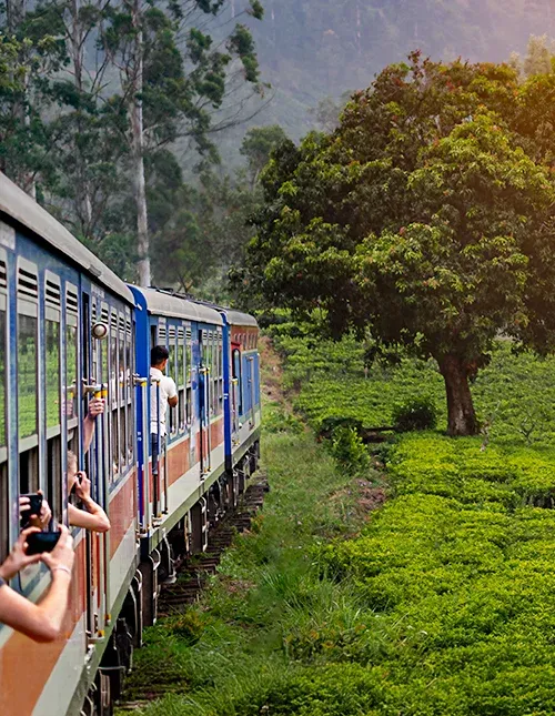 Junamatka Nuwara Eliyasta Kandyyn Sri Lankan ylängön teeviljelysten halki