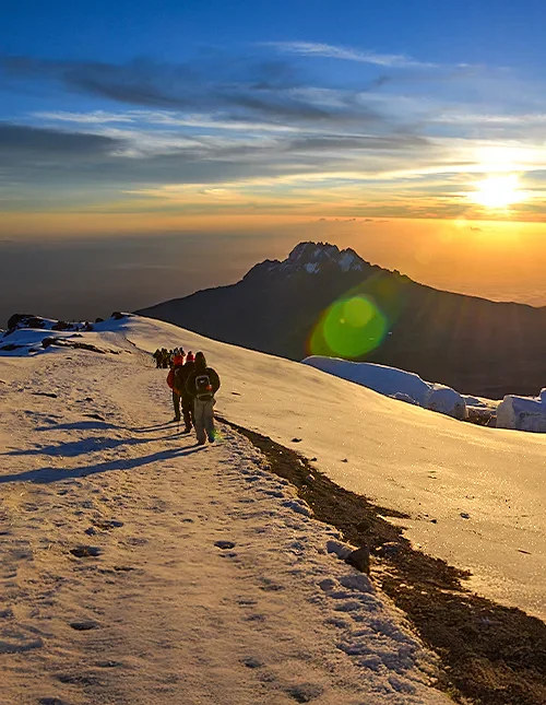 Joukko vaeltajia kulkee Machame-reittiä pitkin auringonnousun aikaan