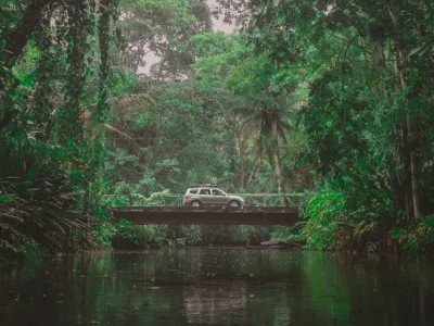 Auto ajaa Costa Rican viidakon halki