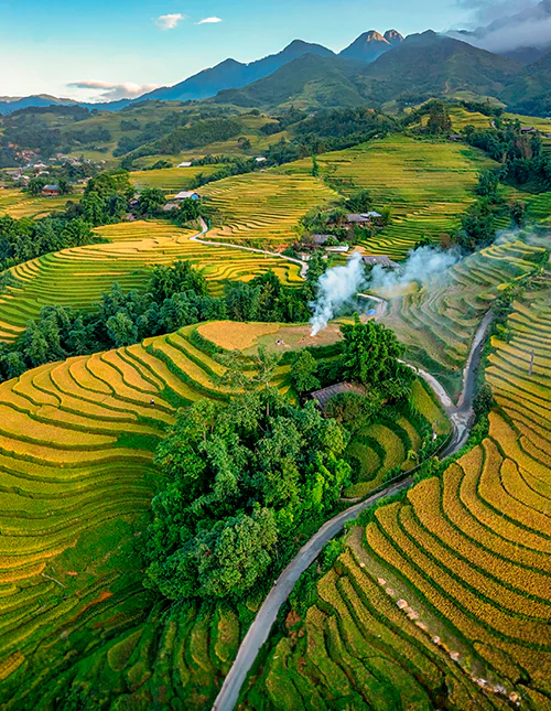 Ilmakuva riisipelloista tai riisiterasseista, Sapa, Vietnam.