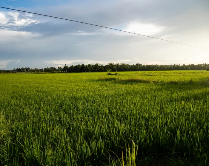 Katso kuva 62