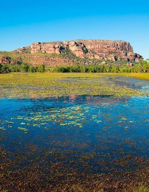 Näkymä Nourlangielle Anbangbang Billabongilta, Kakadun kansallispuisto, Australia