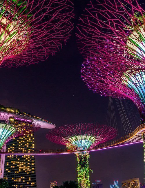 Valaistut Supertree-puut Singaporessa valaisevat yötaivaan.