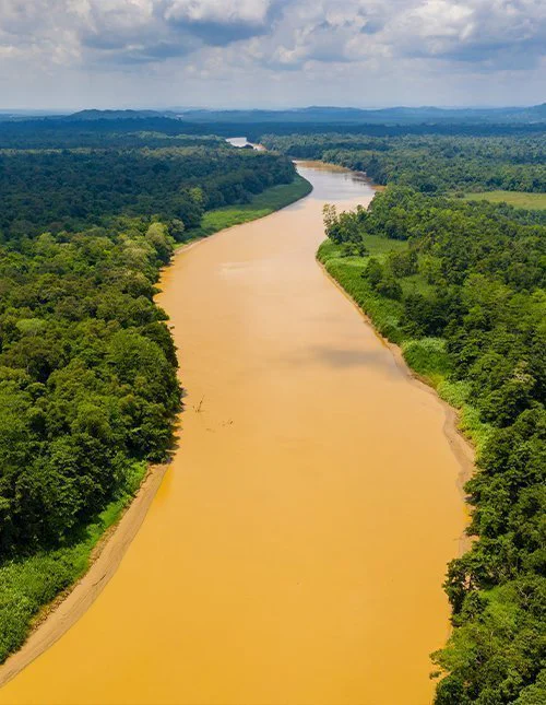 Dronekuva Kinabatangan-joesta Borneolta